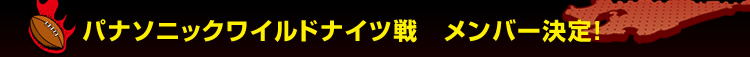 �p�i�\�j�b�N���C���h�i�C�c��@�����o�[����I