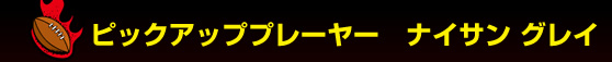 �s�b�N�A�b�v�v���[���[�@�i�C�T�� �O���C