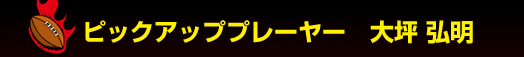 �s�b�N�A�b�v�v���[���[�@��؁@�O��