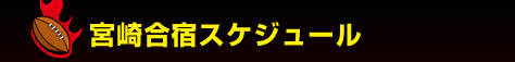 �{�荇�h�X�P�W���[��
