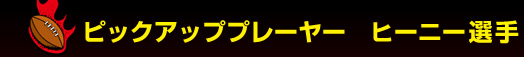�s�b�N�A�b�v�v���[���[�@�q�[�j�[�I��