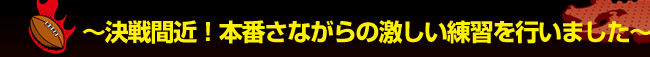 �`����ԋ߁I�{�Ԃ��Ȃ���̌��������K���s���܂����`