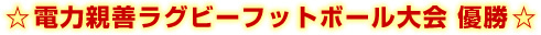 ���d�͐e�P���O�r�[�t�b�g�{�[�����@�D����