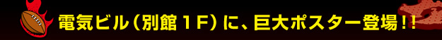 �d�C�r���i�ʊقPF�j�ɁA����|�X�^�[�o��I�I