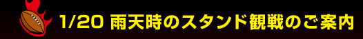 1/20 �J�V���̃X�^���h�ϐ�̂��ē�