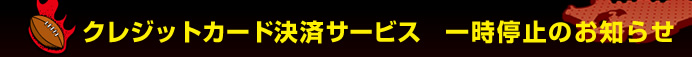 �N���W�b�g�J�[�h���σT�[�r�X�ꎞ��~�̂��m�点


