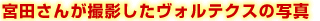 �{�c���񂪎B�e�������H���e�N�X�̎ʐ^