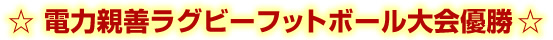 �d�͐e�P���O�r�[�t�b�g�{�[�����D��