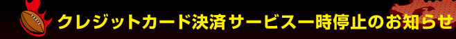 �N���W�b�g�J�[�h���σT�[�r�X�ꎞ��~�̂��m�点