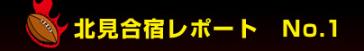 �k�����h���|�[�g�@No.1