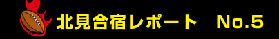 �k�����h���|�[�g�@No.5