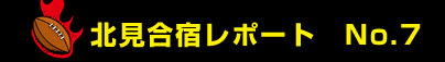�k�����h���|�[�g No.7
