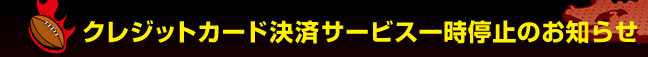�N���W�b�g�J�[�h���σT�[�r�X�ꎞ��~�̂��m�点