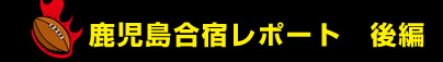 ���������h���|�[�g ���