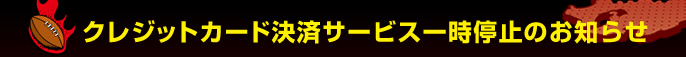 �N���W�b�g�J�[�h���σT�[�r�X�ꎞ��~�̂��m�点