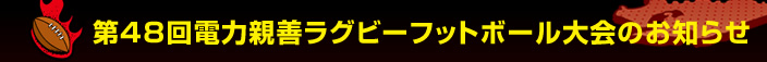��48��d�͐e�P���O�r�[�t�b�g�{�[�����̂��m�点