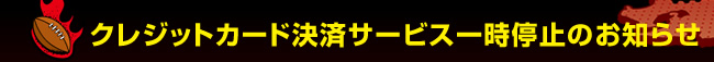 �N���W�b�g�J�[�h���σT�[�r�X�ꎞ��~�̂��m�点