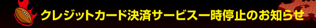 �N���W�b�g�J�[�h���σT�[�r�X�ꎞ��~�̂��m�点 