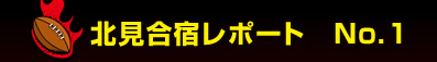 �k�����h���|�[�g�@No.1