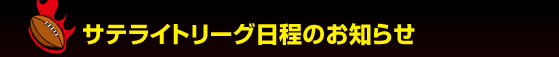 �T�e���C�g���[�O�����̂��m�点