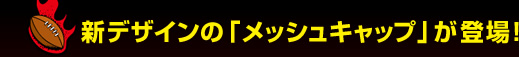 �V�f�U�C���́u���b�V���L���b�v�v���o��I