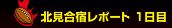 �k�����h���|�[�g�@No.2