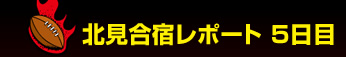 �k�����h���|�[�g�@No.5