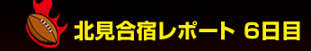 �k�����h���|�[�g�@No.6