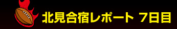 �k�����h���|�[�g�@No.7