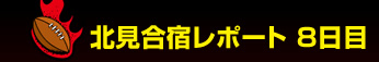 �k�����h���|�[�g�@No.8