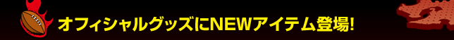 �I�t�B�V�����O�b�Y��NEW�A�C�e���o��I