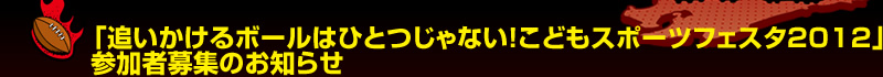 �u�ǂ�������{�[���͂ЂƂ���Ȃ��I���ǂ��X�|�[�c�t�F�X�^2012�v�Q���ҕ�W�̂��m�点