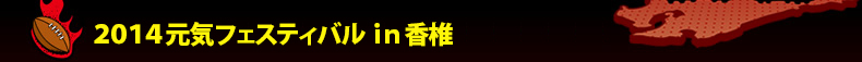 �Q�O�P�S���C�t�F�X�e�B�o����������