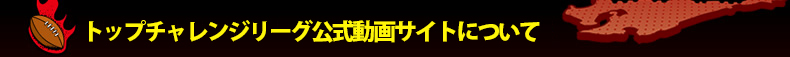 �g�b�v�`�������W���[�O��������T�C�g�ɂ���