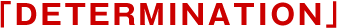 �uDETERMINATION�v