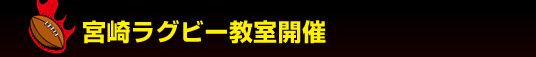 �{�胉�O�r�[�����J��