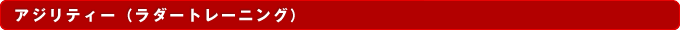 �A�W���e�B�[�i���_�[�g���[�j���O�j